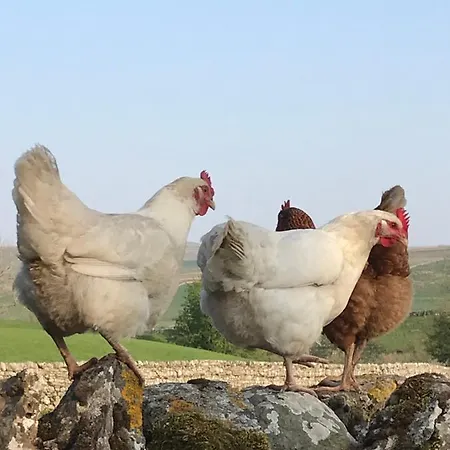 Old Camms 別荘 アスクリッグ